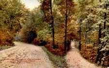 Minnehaha Boulevard and Pathway, Minneapolis, Minn. Postcard picture