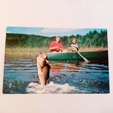 Vintage Chrome Postcard: Vacation Scene Fishing-1950's Man Son picture