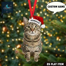 Personalized Tabby Cat Ornament, Cat Christmas Ornament,Cute Cat picture