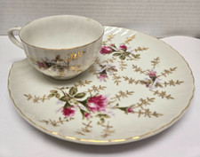 Vintage Pink Roses teacup and clam snack plate picture
