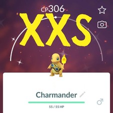Shiny XXS Charmander Fried's Goggles Costume - Registered Trade picture