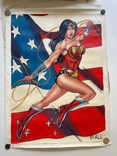ORIGINAL WONDER WOMAN PAINTING BY MALL 22X29 ACRYLICS ON CANVAS U.S. SHIPPER picture