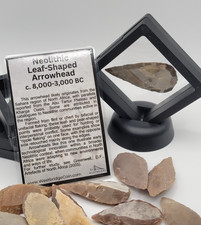 One Random Neolithic Flint Leaf-Shaped Arrowhead North Africa Case & Info Card picture