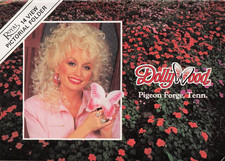 Dollywood Dolly Parton Souvenir 4x6
