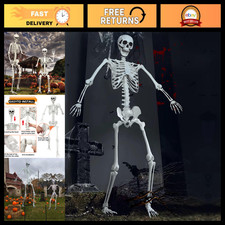 7.8Ft Giant Realistic Skeleton with Movable Joints - Life Size Halloween Decor picture