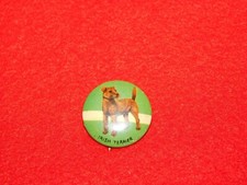 VINTAGE PINBACK BUTTON IRISH TERRIER picture