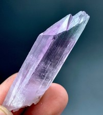 91 CTs Natural Bicolor  Kunzite Crystal specimen from Afghanistan picture