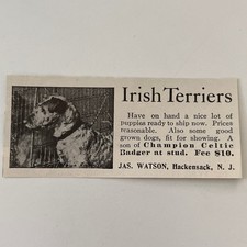 Irish Terriers Jas. Watson Champion Celtic Badger Hackensack NJ 1906 Ad SAH6-S11 picture