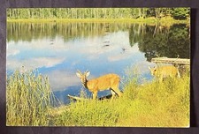 MI. Greetings From Big Bay Lake.  Posted. Copyright 1957 L L Cook Co.       C282 picture