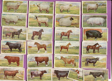 1915 JOHN PLAYER & SONS BRITISH LIVESTOCK 25 TOBACCO CARD SET picture