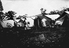 Casterton District, Victoria, 1929 A railway survey camp for the prop Old Photo picture