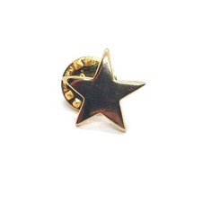 Golden Star Pin Lapel Collectible Award picture