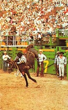 Rodeo Rapid City SD South Dakota Horse Bucking Western Cowboys Vtg Postcard G57 picture