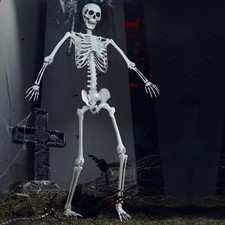 7.8Ft Giant Skeleton Life Size Realistic Plastic Human Skeleton with Movable ... picture