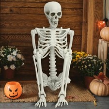 5.4 ft Halloween Human Skeleton Poseable Full Life Size Decoration Party Prop picture