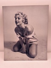Paula Ryan Vintage 1950s 8 x 10 Cheesecake Exotic Lingerie Production Photo picture