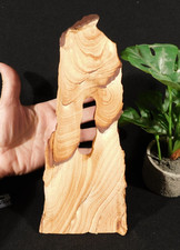 TALL Navajo Sandstone ARCH SCULPTURE  with Lines of Hematite Utah 803gr picture