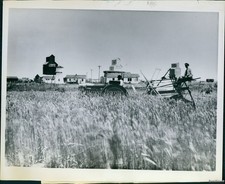 1963 Ol Beyer Harvested Wheat Ranch Near Fairfield Montana Wirephoto 7x9 picture