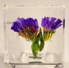 38mm Real Purple Lavender Flower in Crystal Clear Lucite Resin Specimen Botan... picture