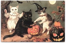 3 Cats JOL Modern Halloween Postcard Standard Size Witch Black White Kitten Moon picture
