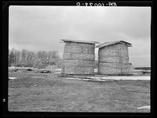 Photo:Emmet County Iowa 1936 Open Corn Crib Fodder Stacks Farm Storage picture