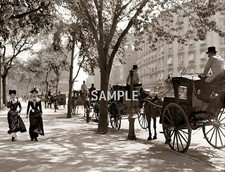 1900s NEW YORK Madison Square  8.5X11 PHOTO (237-T) picture