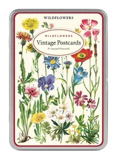 Cavallini & Co. Wildflowers Vintage Style Postcard Set, Assorted picture