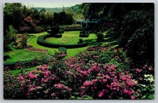 Orton Plantation Gardens North Carolina Vintage Postcard Scroll Garden View picture