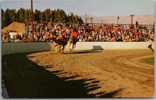 c1950s INDIO, California Postcard NATIONAL DATE FESTIVAL / Camel Race Scene picture