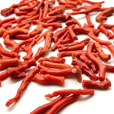 Natural Polished Coral Branch Rough – 50 Carats Raw Coral Specimen picture