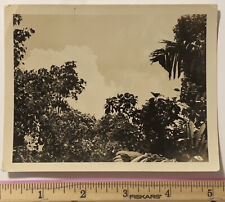 RARE WWII KODAK KODATONE ORIGINAL B&W PHOTOGRAPH TREES CLOUDS 5 X 3.75 INCHES picture