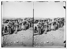 Bedouins watching women at encampments,Middle East,Nomadic Arabs,1898-1946 picture