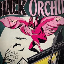 Adventure Comics #428 1st App Black Orchid RARE Mark Jewelers (DC 1973) W120 picture