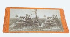 Antique New Jersey Stereoscopic View Co. John F. Joy Wolves Statue Philadelphia picture