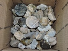 Lot of CUT MIXED STONE NODULES from PNW (7.9Lb) LAPIDARY SPECIMENS picture
