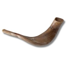 Kosher Polished Ram's Horn Shofar from Israel Jerusalem 10″- 12″/ 25 cm - 30 cm picture