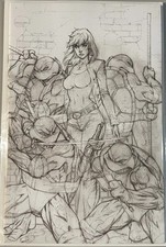 TMNT #20 (300th) J Scott Campbell Sketch BLIND BAG EXCLUSIVE  picture