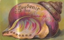 BROCKTON Illinois postcard Sea shell picture