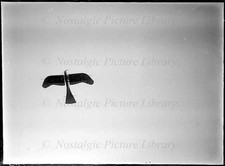 GLASS NEGATIVE  AVIATION, IN FLIGHT VIEW ETRICH MONOPLANE   1913 picture