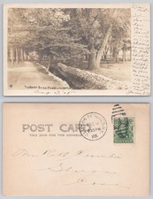 RPPC The Brook-Back Park Clifton Springs NY 1905 Vintage Real Photo Postcard picture