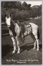 HORSE RPPC Will Rogers Favorite Roping Soapsuds Photo Postcard 8B picture
