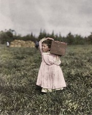 1910 CRANBERRY PICKER in Pemberton NJ Child Labor PHOTO  (210-J) picture
