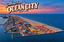 Greetings From Ocean City, MARYLAND Modern Large Letter Postcard E223 picture